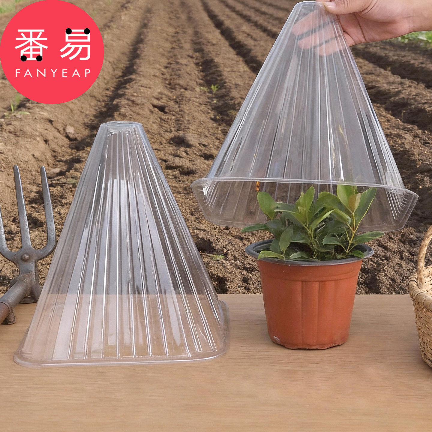 育苗保护罩A1pn001-植物防风罩植物幼苗闷养罩钟罩锥形绿色植物罩