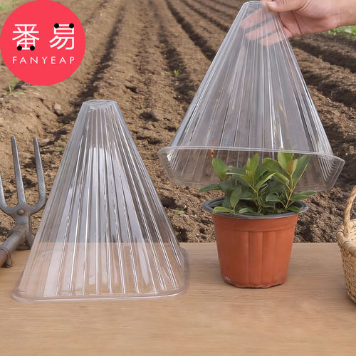 育苗保护罩A1pn001-植物防风罩植物幼苗闷养罩钟罩锥形绿色植物罩