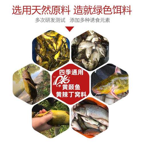 . Huang Yufish wild fishing yeellow copper granules black