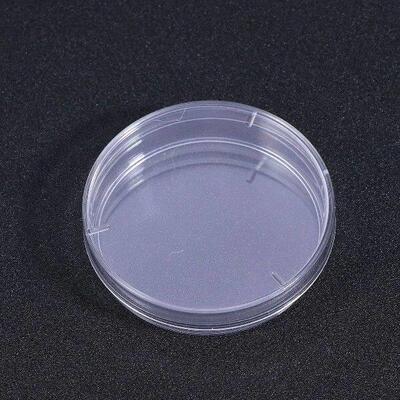 20 PCS 60mm Plastic Petri Dishes With Lidoratory Culture