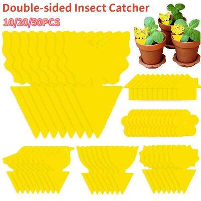 10/20pcs Non-Toxic Sticky Traps Fruit Fly Trap Yellow