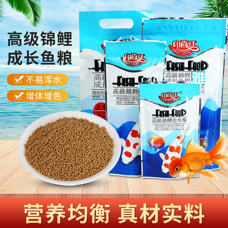 上浮印尚红增艳不浑水金鱼观赏鱼