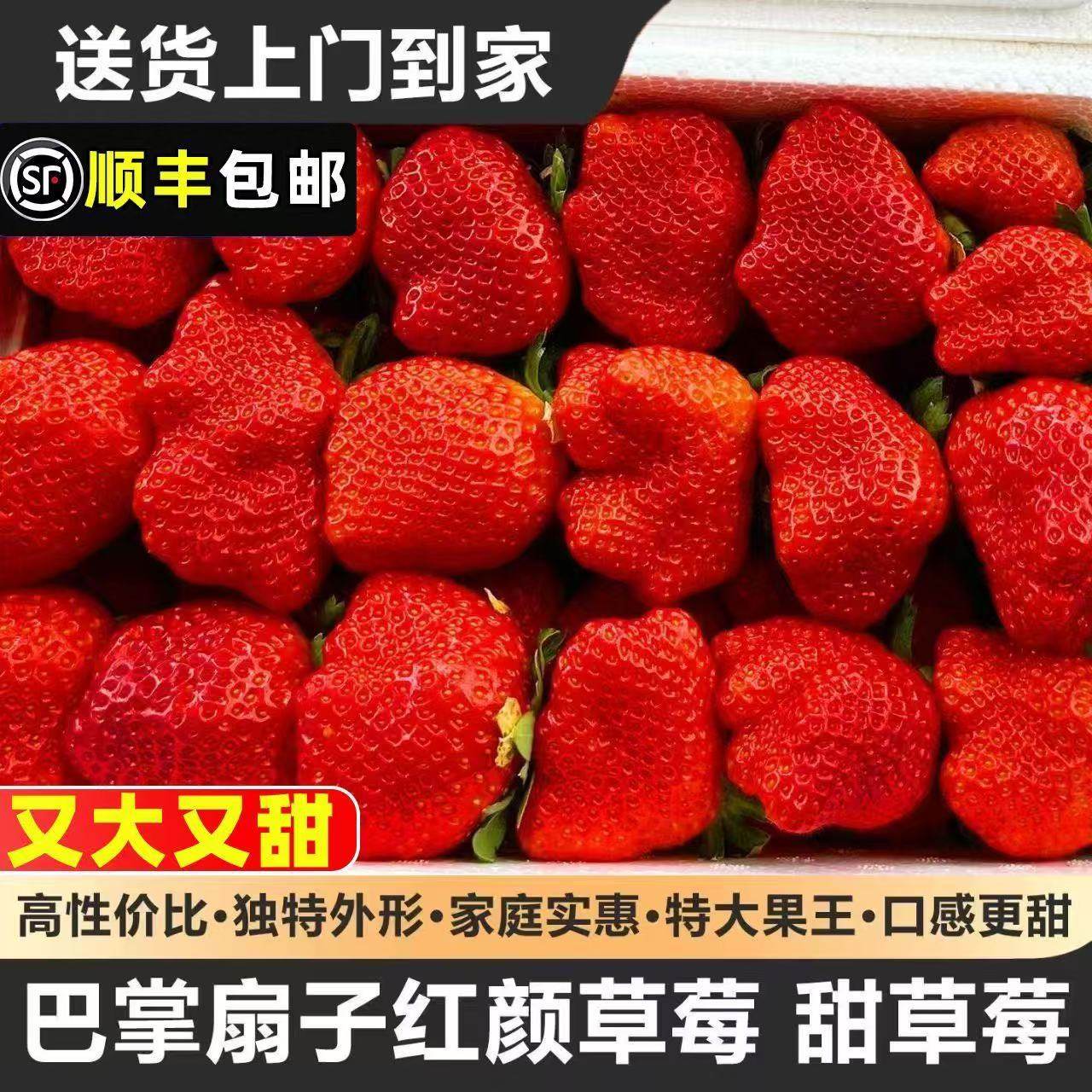 【顺丰送货上门】安徽长丰红颜草莓当季水果特大果2/3斤甜草莓,水产肉类/新鲜蔬果/熟食,草莓,淘宝优惠券,粉丝福利购,淘宝优惠卷