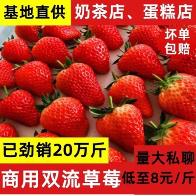 云南草莓新鲜5斤商用奶茶蛋糕应季水果奶油孕妇水果奶油草莓包邮