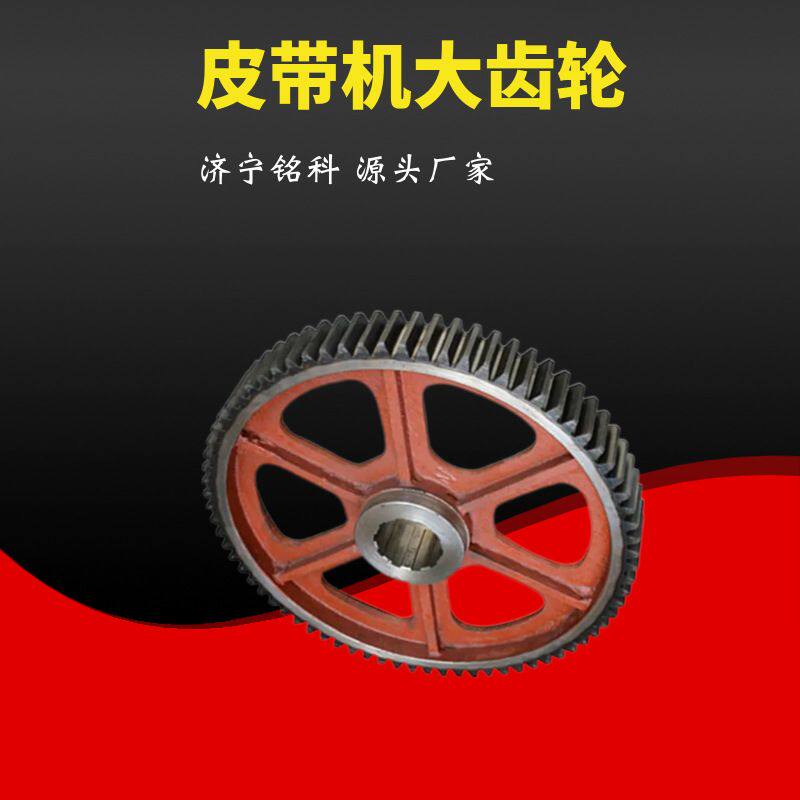 DSJ80传动齿轮 运输力强 传动平稳 皮带机二轴总成