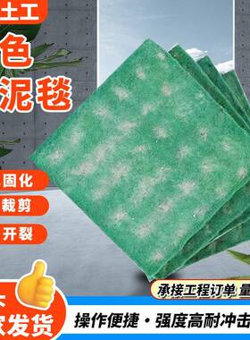 新型浇水固化养护毯河道护坡鱼塘养殖针刺毯防渗固化绿色水泥毯