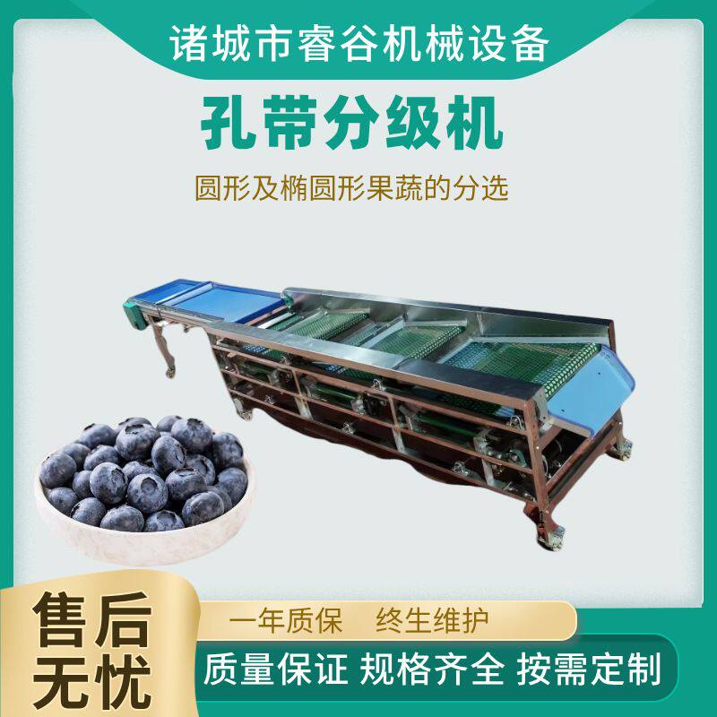 皮带直径分选机 蓝莓孔带水果分级机 精准筛选蔓越莓等级筛选设备