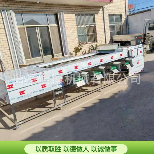 大型不锈钢山楂筛选机 工业西红柿分选机 商用多功能苹果选果设备