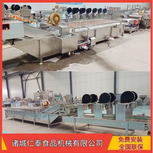 荞麦涡流清洗机 沙棘果鼓浪清洗机 芒果气泡连续式清洗设备包安装