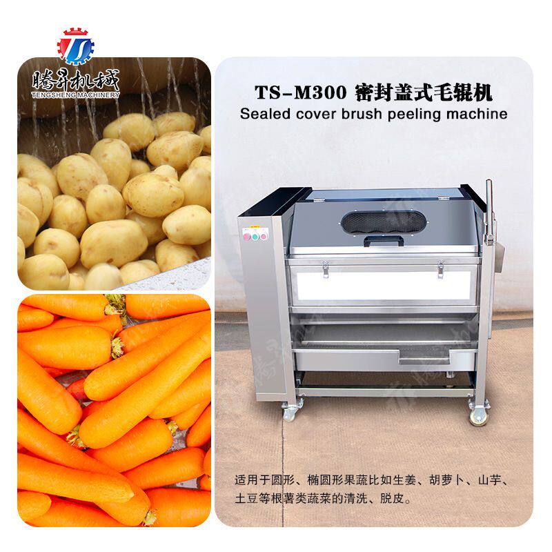 小型土豆毛刷清洗去皮机 果蔬密封式毛辊清洗机 土豆清洗机