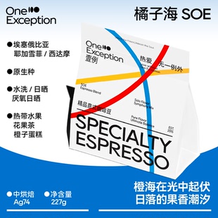 壹例 橘子海 SOE 埃塞俄比亚耶加雪菲/西达摩 日晒意式拼配咖啡豆