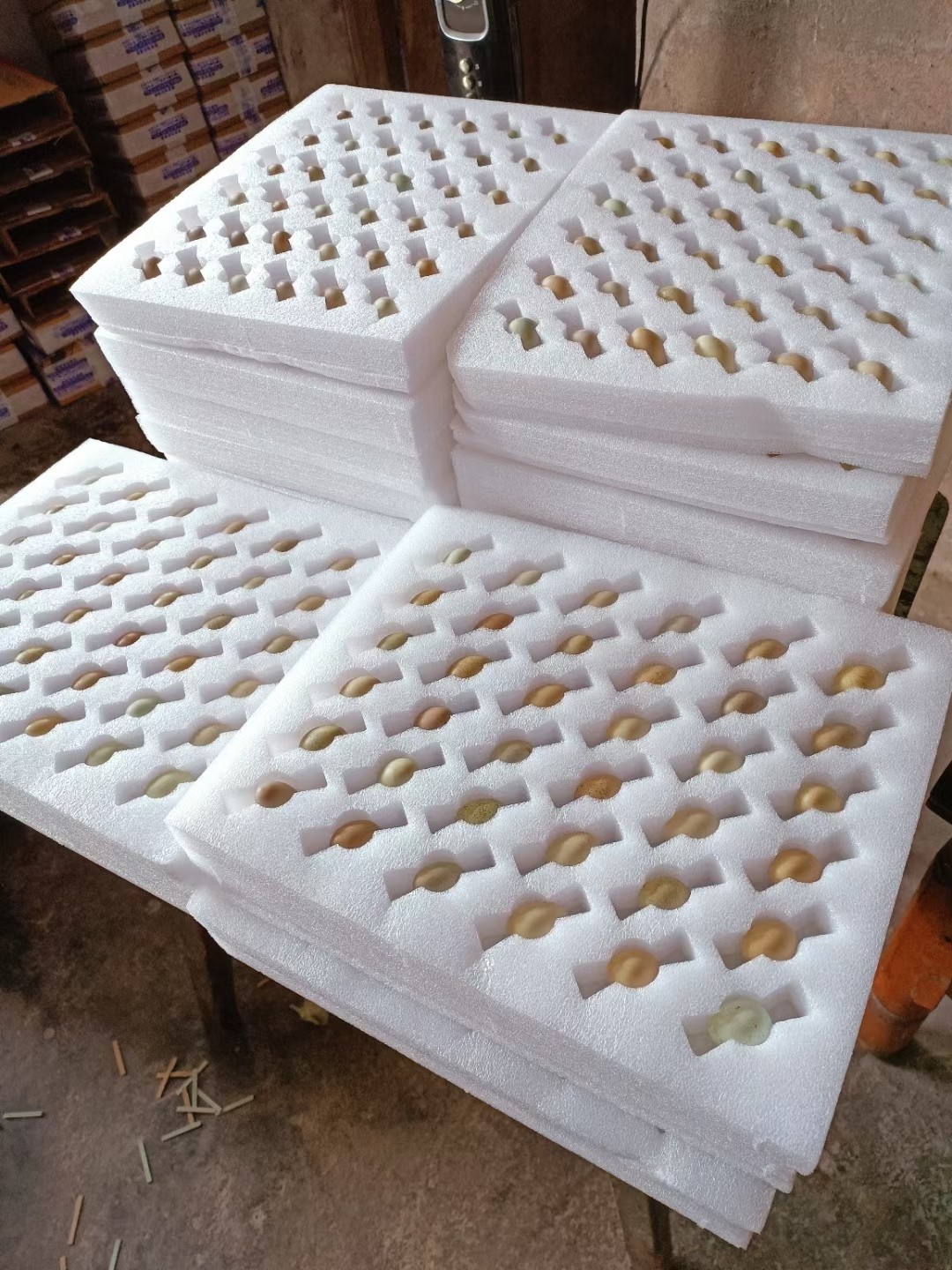 红迷你鸡蛋食用蛋蛋观赏宠物鸡蛋礼服瓦灰纯白蛋包邮