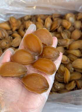 特价约50头鲍鱼干干鲍佛跳墙原材料海鲜干货鲍鱼干鲍鱼煲炖汤250g