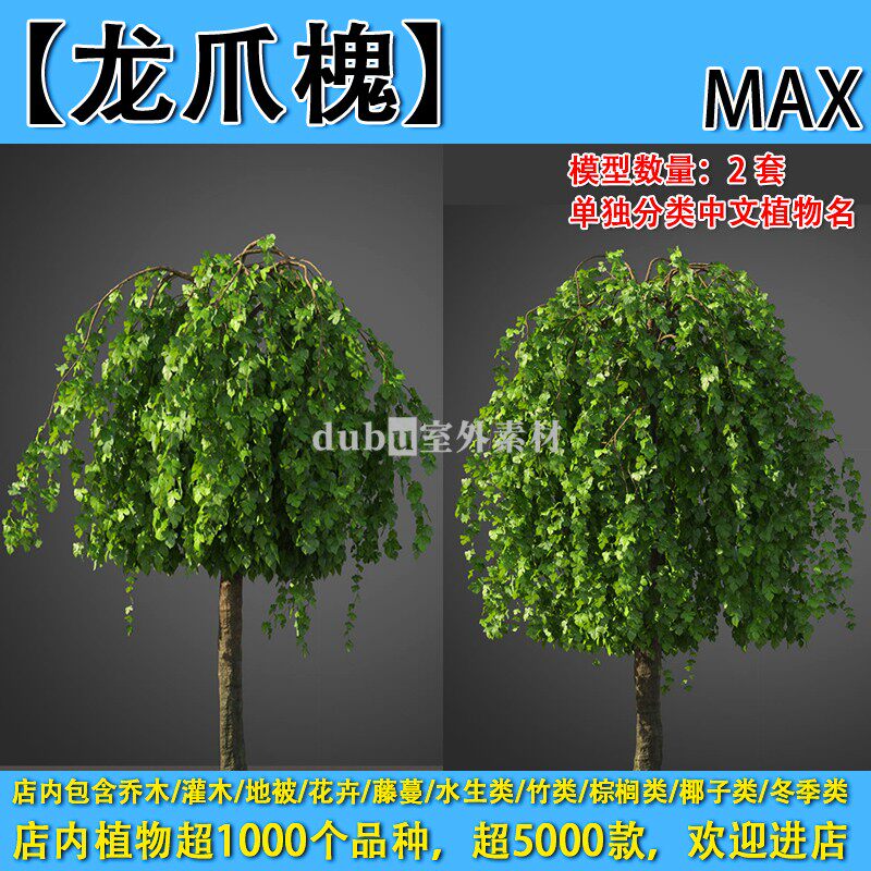 乔木-139-【龙爪槐】max植物模型-园林景观室外3d植物模型素材