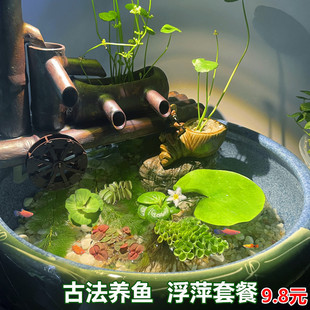 鱼缸浮萍水草古法养鱼造景套餐水草一叶莲肚兜萍圆心萍净水浮萍草