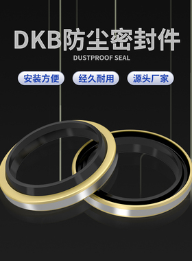 DKB外铁壳防尘油封内径145/150/155/160/170/175/180/190/200/210