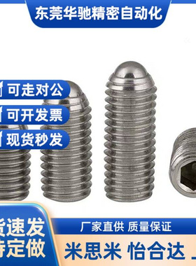 不锈钢加长型轻载型球头柱塞 BSML3/4/5/6/8/10/12 BMSL系列