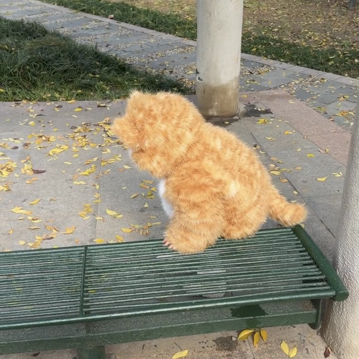 穿上这件小猫都得说他说我亲生的