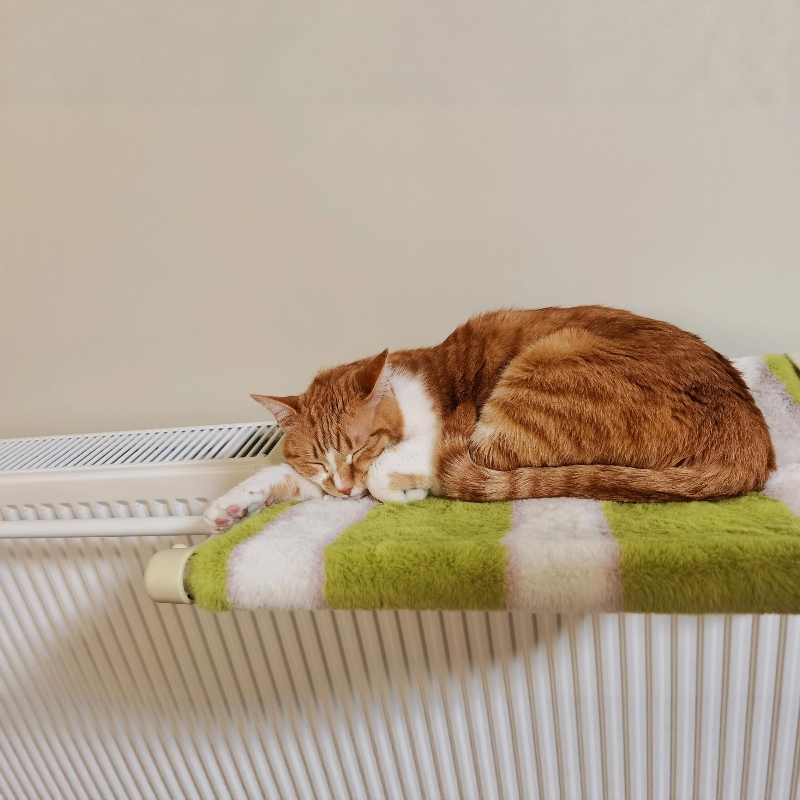 这个猫挂床哪儿里都能挂很实用