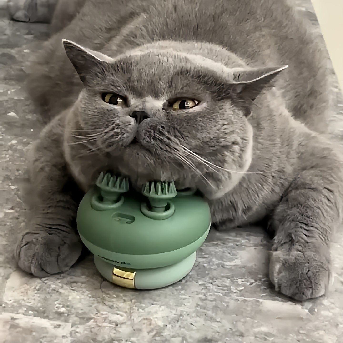 铲屎官的快乐 猫咪按摩头部神器宠物自嗨电动按摩仪多功能智能狗