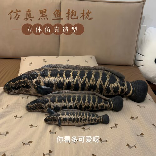 给女朋友买了新的抱枕