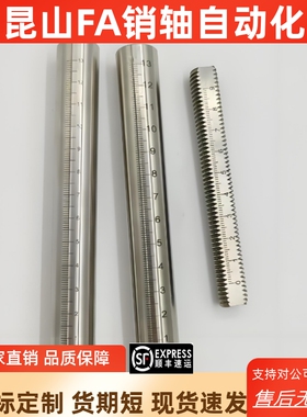 GSSTN10/12/15/20/25-100/150 200 250 300/500/1000棒型刻度尺