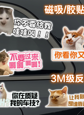 猫咪meme搞笑反光车贴磁吸迷因猫表情包可爱女司机汽车车尾装饰贴