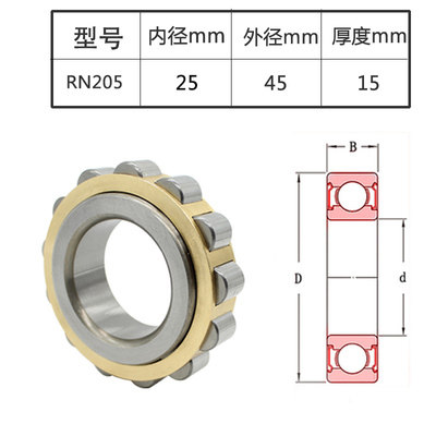 摆线针轮减速机偏心套轴承RN204 205 206 307 309 312 M 带偏心轴