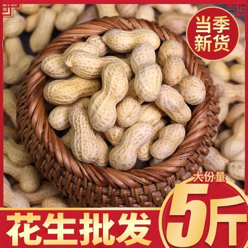 炒熟批发5斤装带壳原味喜花生米