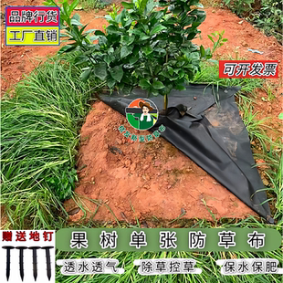 桔友防草布除草布加厚耐用抗老化农用园艺地布新型果树用透水地膜