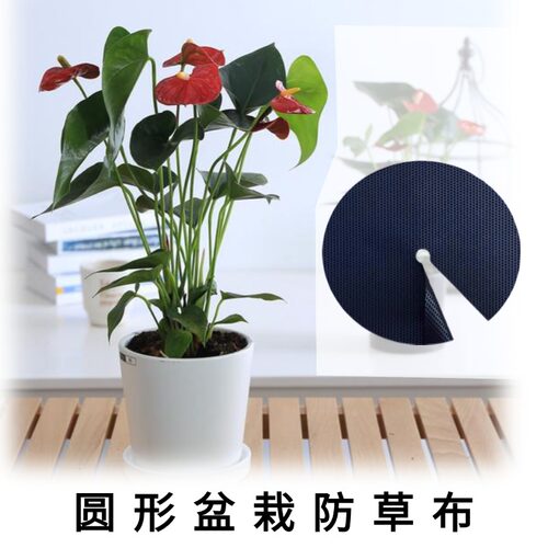 圆形防草布盆栽美化育苗遮草