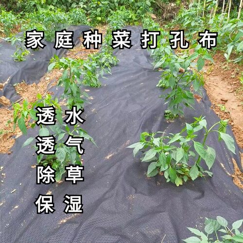 桔友开孔防草布透水蔬菜药材种植