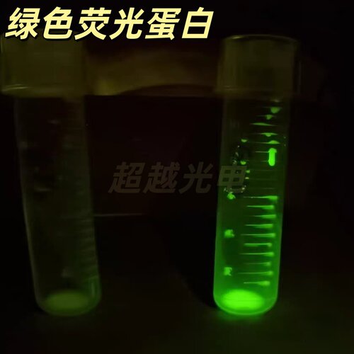 荧光蛋白激发光源488nm手持GFP便携式筛选观测灯 12W  科研实验