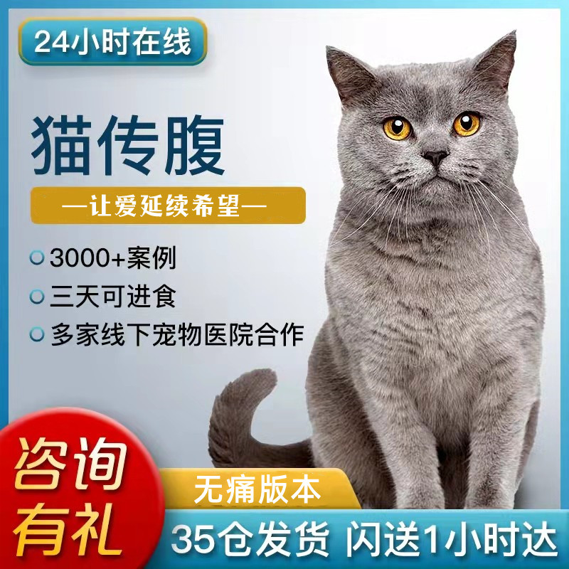 猫传腹猫咪传腹针剂猫腹水传染性腹膜炎营养液fipv抑制剂口服片剂