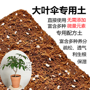 大叶伞专用土日本保罗通用营养土绿植盆栽有机土花卉培植土壤特价