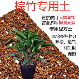棕竹土盆栽种植棕竹专用土酸性土壤沙性土花泥种植通用营养土花肥