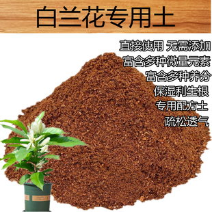 白兰花土酸性土专用营养土盆栽种植白玉兰花透气花泥有机肥料土壤