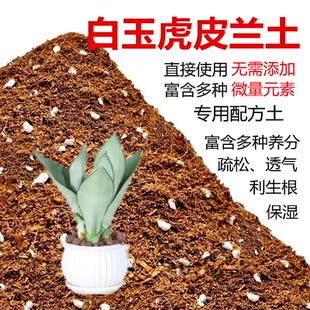 白玉虎皮兰土盆栽种植专用土酸性土椰糠泥炭土壤通用型营养土花肥