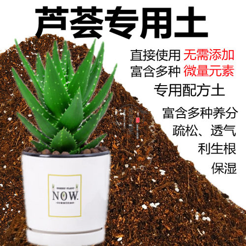 芦荟盆栽用土素材模板 芦荟盆栽用土图片下载 小麦优选
