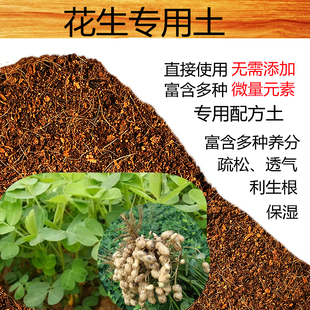花生专用土盆栽酸性沙质泥炭田园土红土壤蔬菜绿植种植营养土肥料