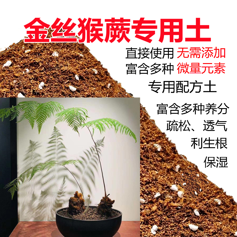 金丝猴蕨专用土金毛狗蕨类植物土酸性沙质泥炭土壤绿植种植土肥料