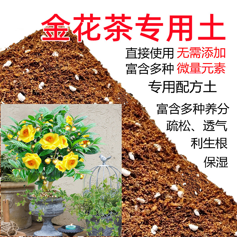 金花茶土盆栽种植金花茶专用土酸配方介质/营养土