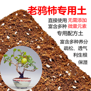 老鸦柿专用土老鸦柿土盆栽盆景营养土酸性沙质土壤绿植种植土肥料