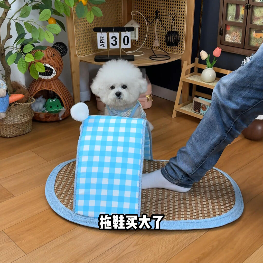 【养宠的100个好物】拖鞋冰垫