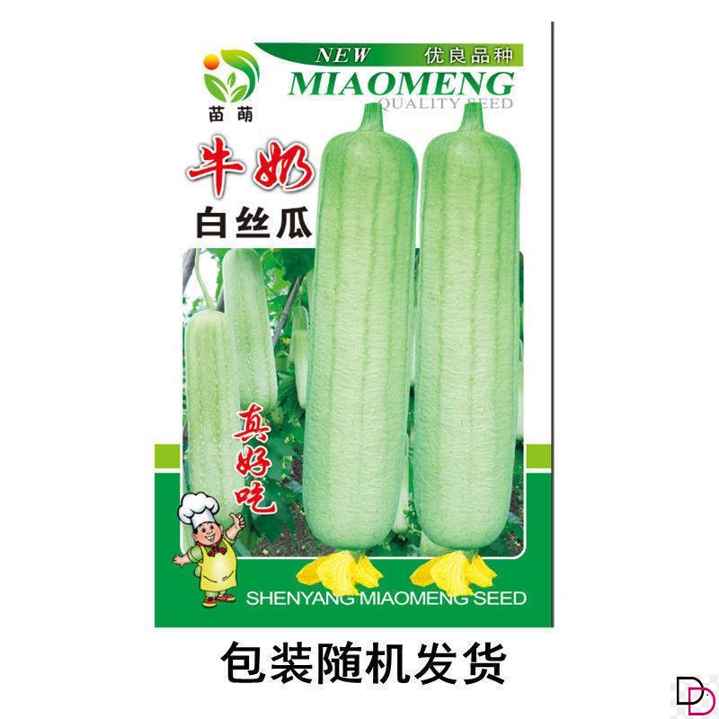 新糯香白皮白丝瓜种子白