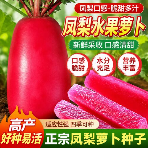 甜脆凤梨水果萝卜种子四季可播