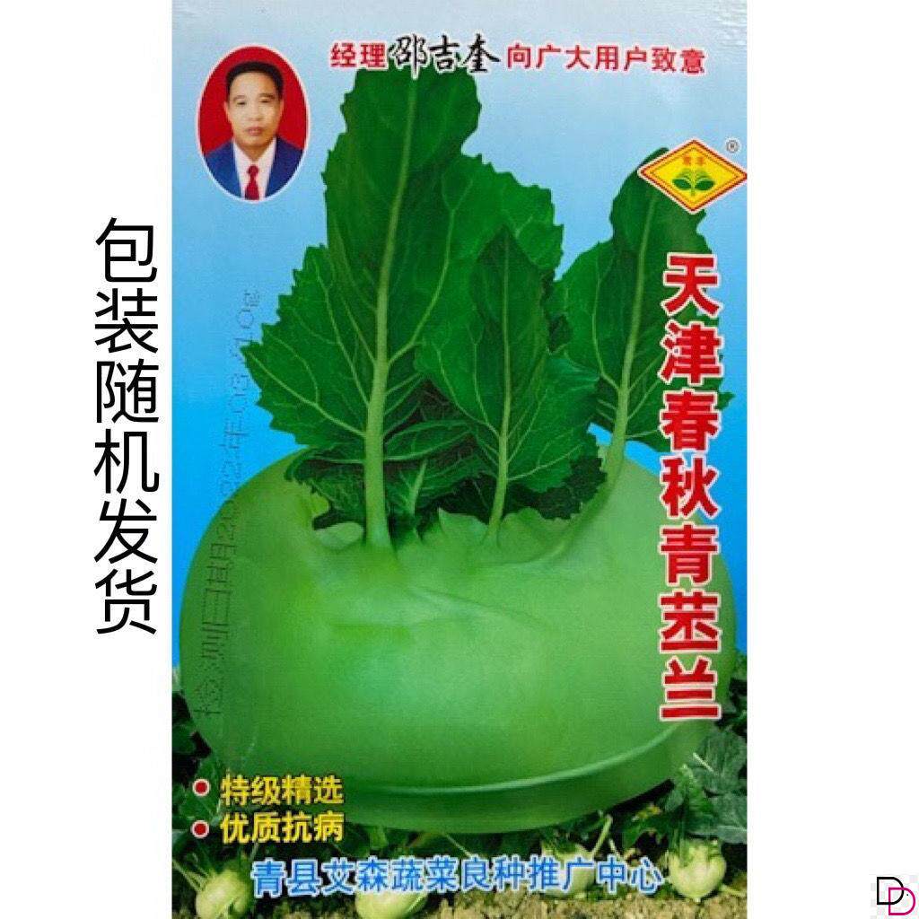 翠玉水果丕兰种子四季播青苤蓝丕蓝阳台盆栽农家菜园易种蔬菜种子