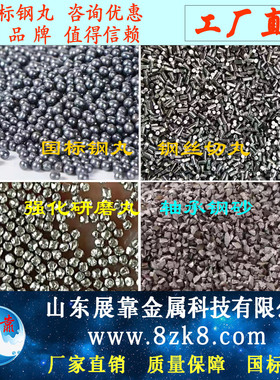 强化钢丸高耐磨研磨丸高硬钢丝切丸喷砂抛丸机不锈钢丸钢砂可定制