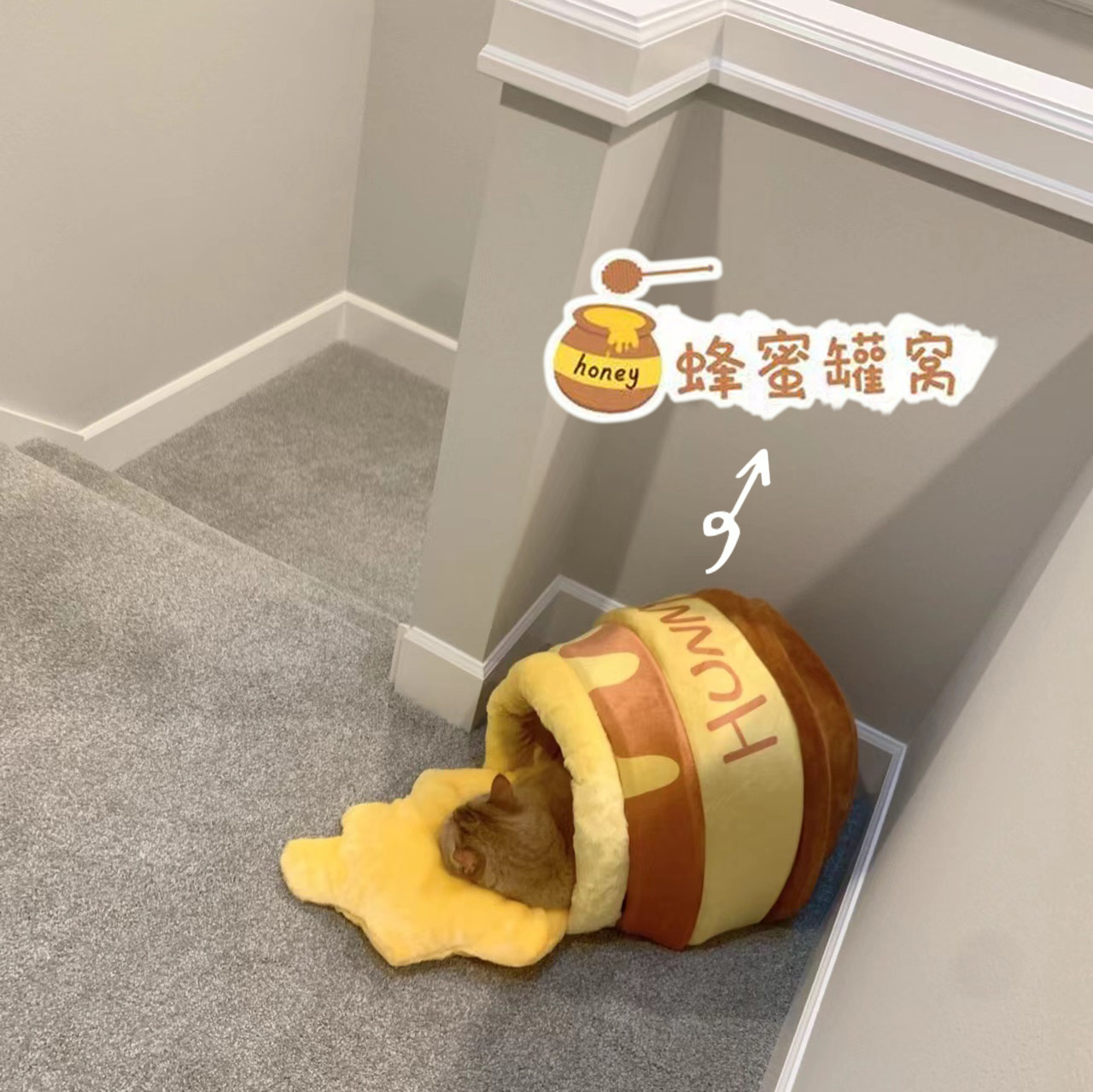 猫咪窝蜂蜜罐窝猫窝冬季保暖防冻全封闭猫窝可爱卡通四季通用狗窝