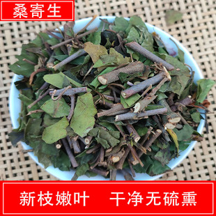 桑寄生药材500g广西深山桑寄生中药材新货桑寄生茶桑寄生粉包邮